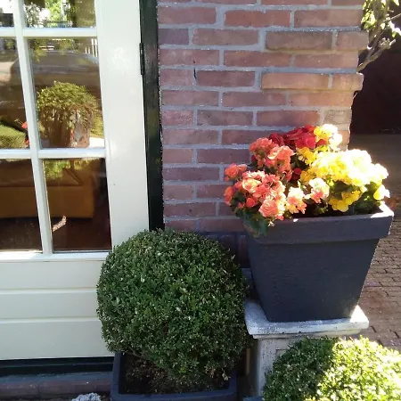 Casa Super Daire Zandvoort