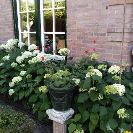 Daire Casa Super Zandvoort